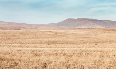 Brecon Beacons National Park in Wales, UK