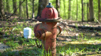 Woodland fire hydrant