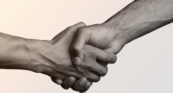 Business Agreement Handshake on white background