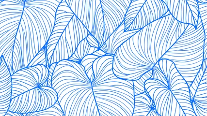 Selbstklebende Fototapeten Foliage seamless pattern, Philodendron gloriosum leaves line art ink drawing in blue and white © momosama