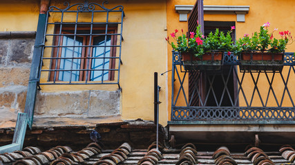 Flower boxes on the iron railing of a balcony in Florence, Italy