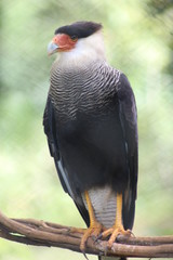 The beauty of nature