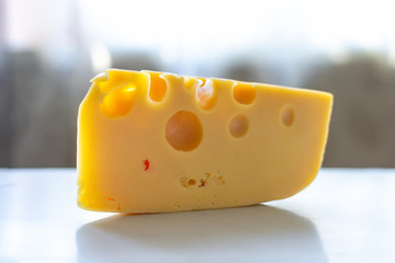 Maasdam cheese on a light table