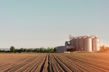Freshly sown corn in ground and silos in background at sunset 