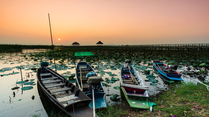 Fototapeta na wymiar Wooden boat hire, take tourists to see the lotus pond during the sunset landscape