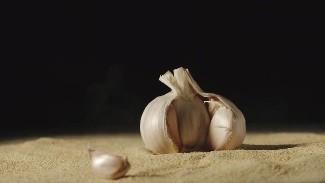 SLOW MOTION: Head garlic falling in powder which spreads around