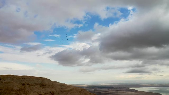 Flock of birds fly in rounds over Desert Mountains, Deadsea in the background, cloudy sky, long-shot