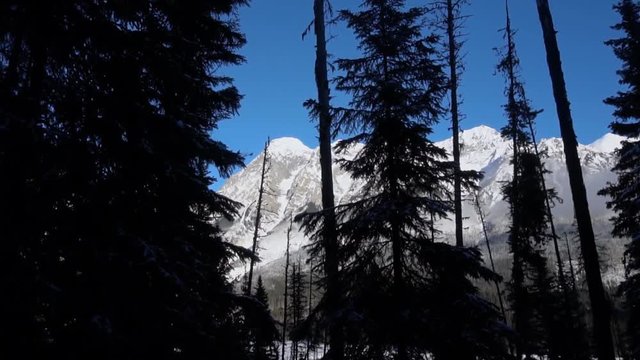 big Canadian mountain view on trip, Europe, Switzerland mountains,  huge