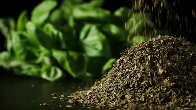 SLOW MOTION: Green dried basil leaves pouring in a heap