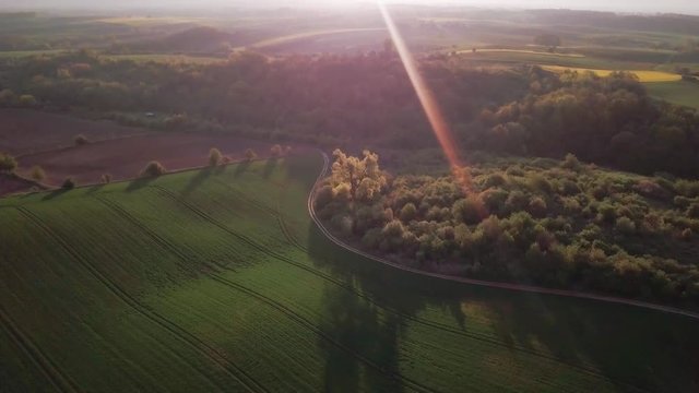 Aerial view of green field and forest in Poland. Visible sun flare, captured early spirng during sunrise.
