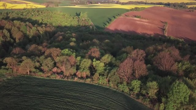 Forward motion aerial view of rolling hills in Poland. Panning through forest to reveal beautiful panoramic landscape captured early spirng, during sunrise.