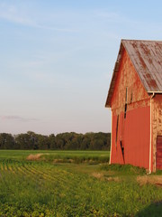 Barn in a field
