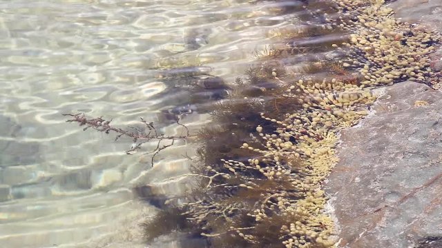Ripples making their way across the surface of a shallow rock pool.