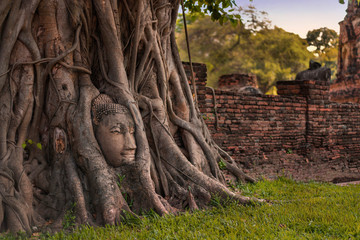 Fototapeta na wymiar Thailand april 21 2019. Buddha Head statue in Tree roots in evening time. Wat Maha That is historical park famous sightseeing place,Ayutthaya, Thailand.