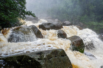 Water flood on river after heavy rain rapids water flow copiously from mountain stream