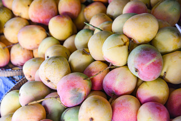 Mango market / New harvest fresh mango organic produce agriculture in the summer for sale