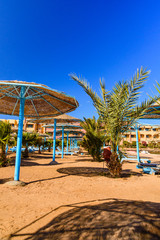 Green palm trees on beach of the Red sea