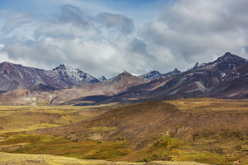Patagonia