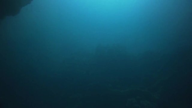 camera panning up from the sandy sea bottom to a the surface inside a hidden lagoon