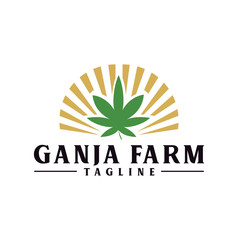 Cannabis with Sun Logo Design Template. Pot Leaf, Hemp in circle shape logo design inspiration vintage Retro Hipster	