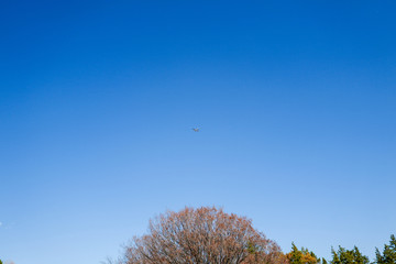 空とプロペラ機