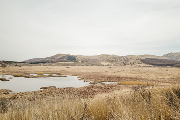春の八島ヶ原湿原