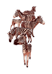The herd of standing zebras drawn in the technique of rough brush