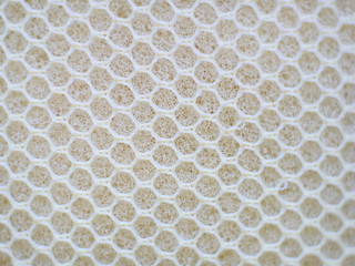 Obraz premium Close up Sponges for dish washing background, abstract gray macro background,blurred