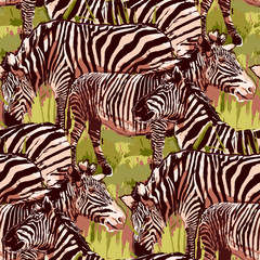 Fototapeta na wymiar The herd of zebras sowing in steppe landscape