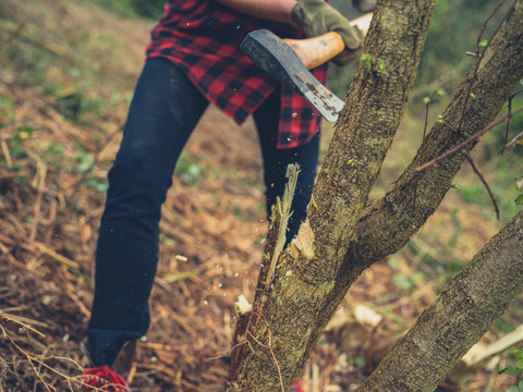 Young woman cutting tree with axe