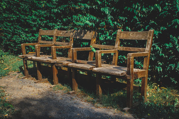 table and chairs in garden