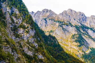Alps mountains covered with forest, Koenigssee, Konigsee, Berchtesgaden National Park, Bavaria, Germany