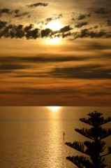 Fototapeta na wymiar ocean sunset scene with orange and yellow clouds with a burnished sky and calm ocean reflections and a foreshore pine tree with a navigation marker off Glenelg South Australia