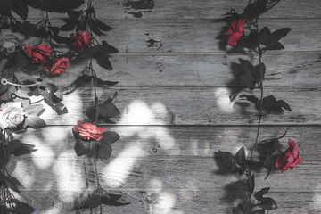 rose and white wood wall