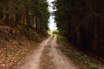 Fototapeta premium Tire tracks on a muddy road in the countryside