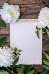 A beautiful frame of white peonies