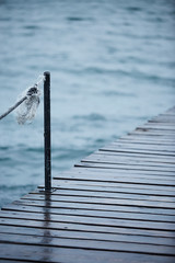 Edge of the wharf