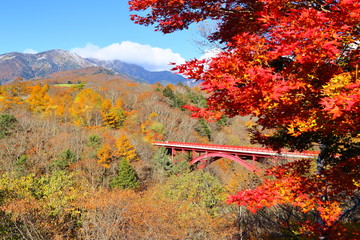 日本　八ヶ岳と赤い橋　紅葉