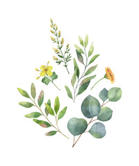 Watercolor vector bouquet with green eucalyptus leaves and field plants. © ElenaMedvedeva