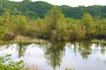 Lake in the forest on the background of the hills