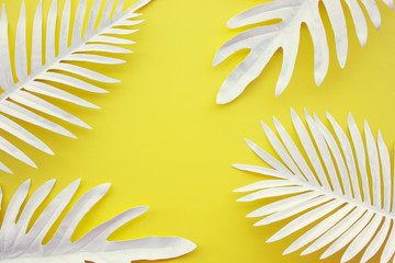 Collection of tropical leaves,foliage plant with color space background.Abstract leaf decoration...