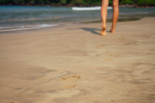 Sexy bikini travel woman in sand in sea wawes having fun at sun day Goa beach India ocean palm trees in the backgroundю.spf sunscreen rays protect