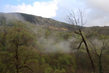 Fototapeta premium Landscape of Djurdjevica Tara village. Forest, mountain, fog and river