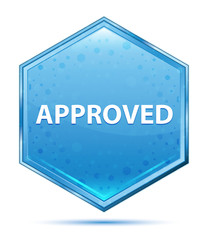 Approved crystal blue hexagon button