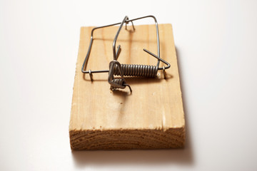 Mouse trap view