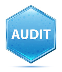 Audit crystal blue hexagon button