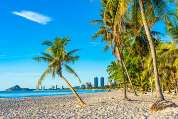 Beautiful tropical outdoor nature landscape of beach sea and ocean with coconut palm tree