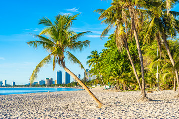 Beautiful tropical outdoor nature landscape of beach sea and ocean with coconut palm tree