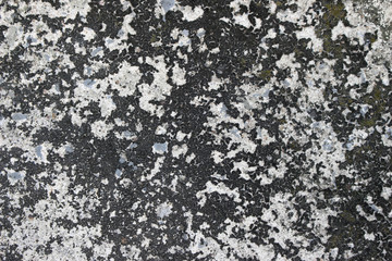 dry dirty grunge ground cracked on concrete surface texture