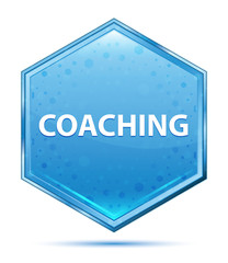 Coaching crystal blue hexagon button